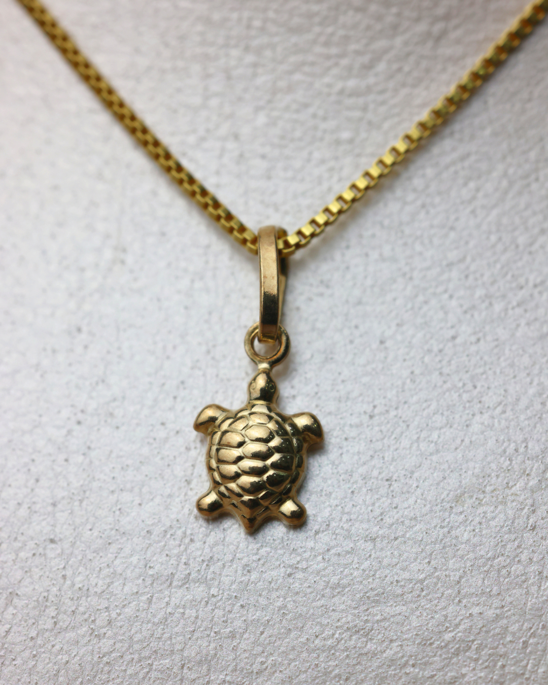 Dije de tortuguita + cadena veneciana #262