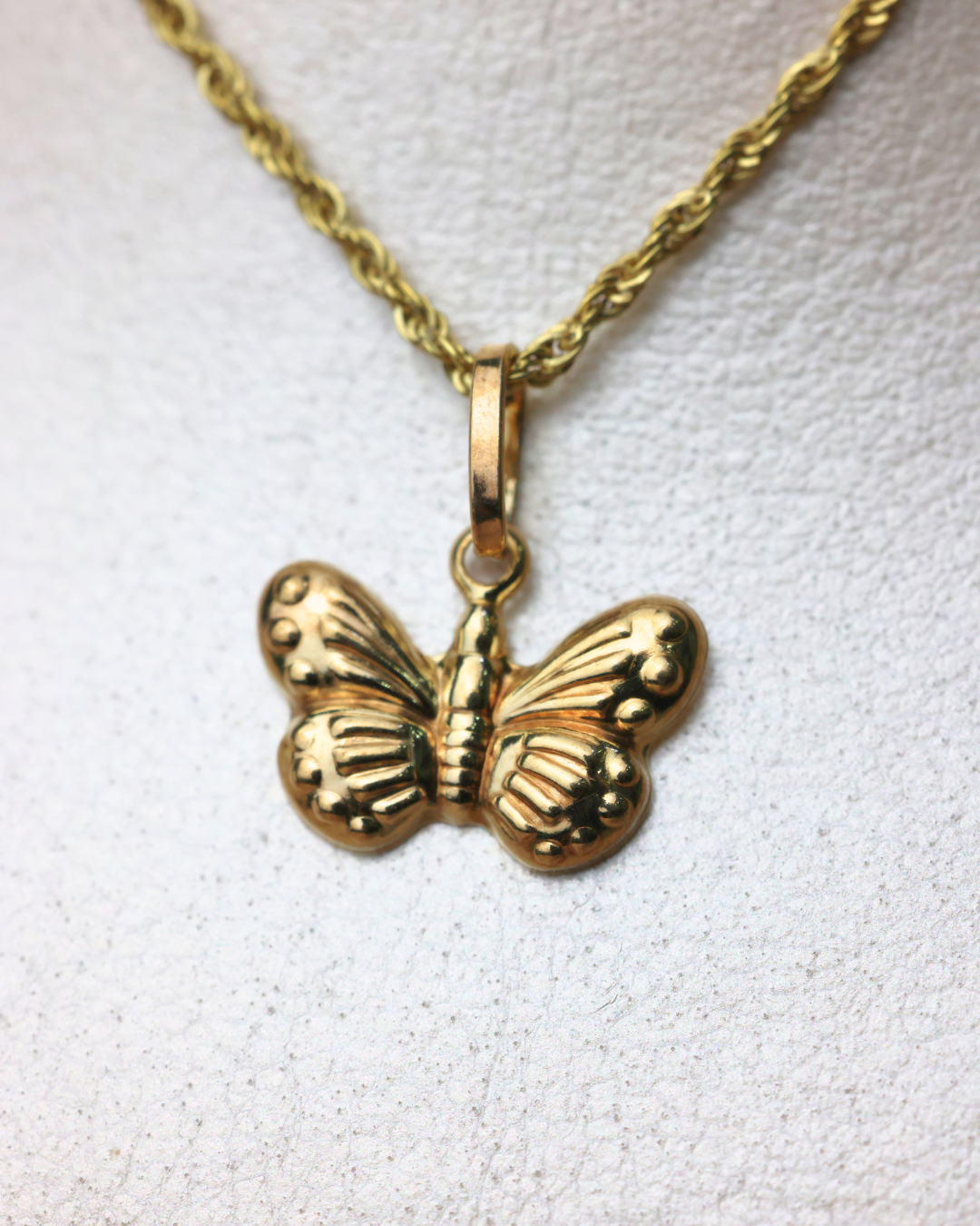 Dije de mariposa + cadena cordon #267
