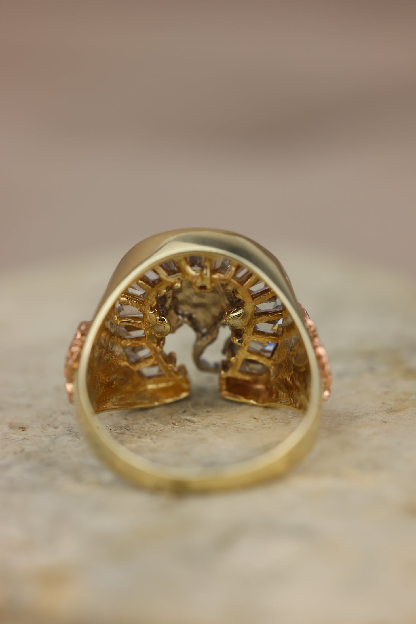 Anillo escorpión #417