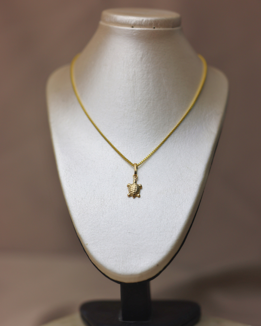 Dije de tortuguita + cadena veneciana #262