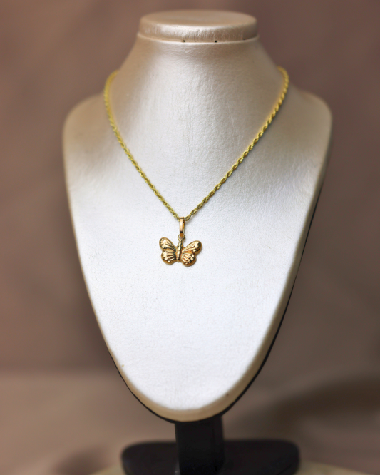 Dije de mariposa + cadena cordon #267