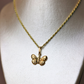 Dije de mariposa + cadena cordon #267