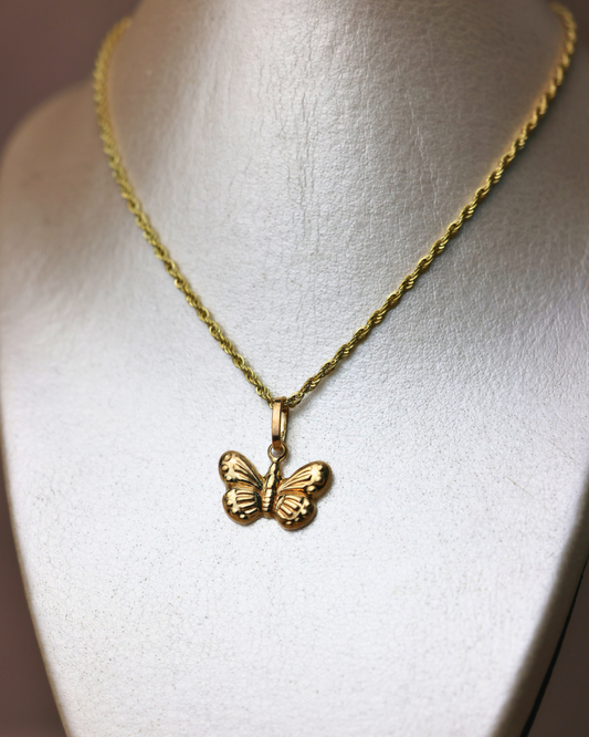 Dije de mariposa + cadena cordon #267