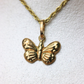 Dije de mariposa + cadena cordon #267