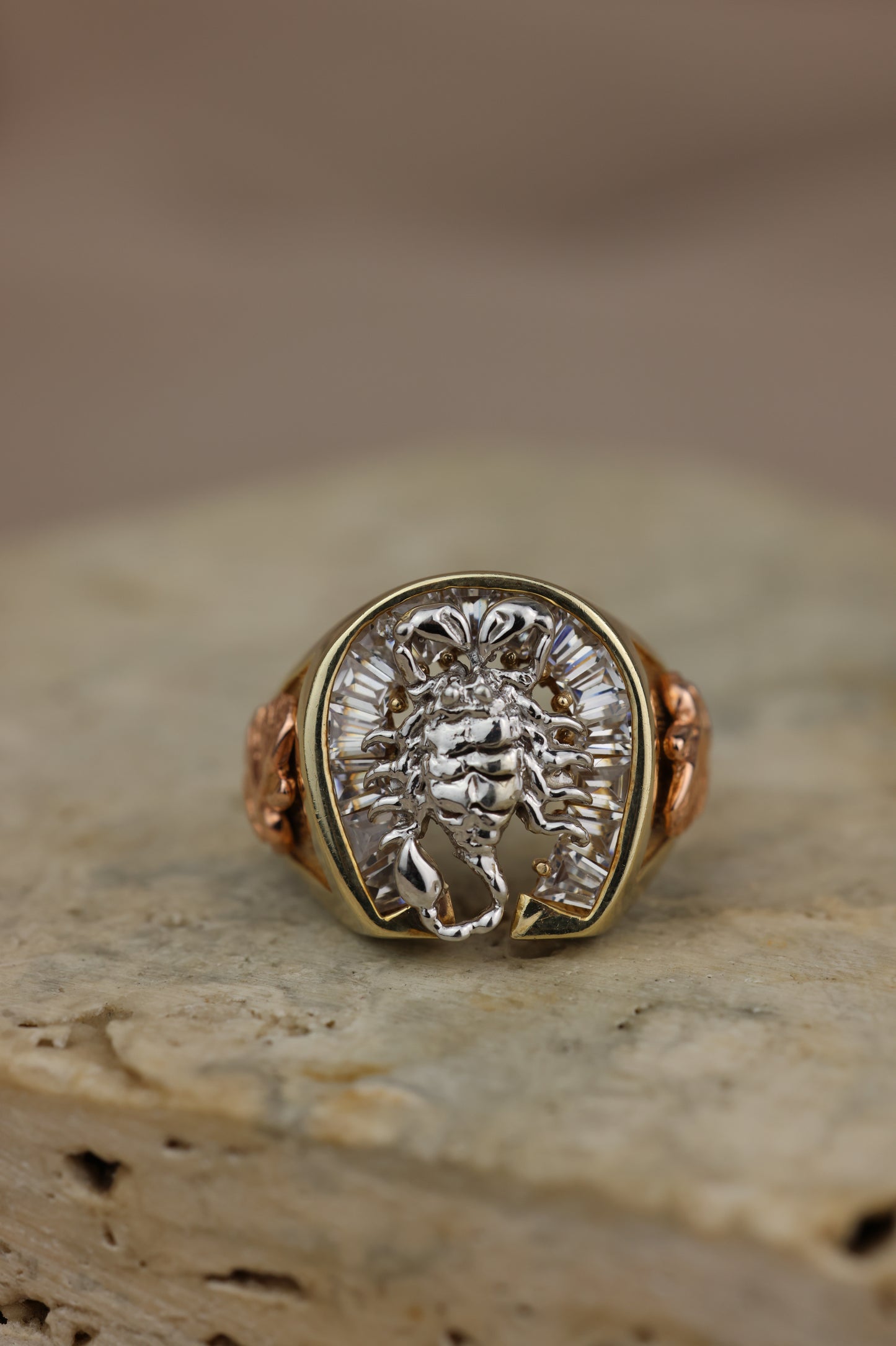 Anillo escorpión #417
