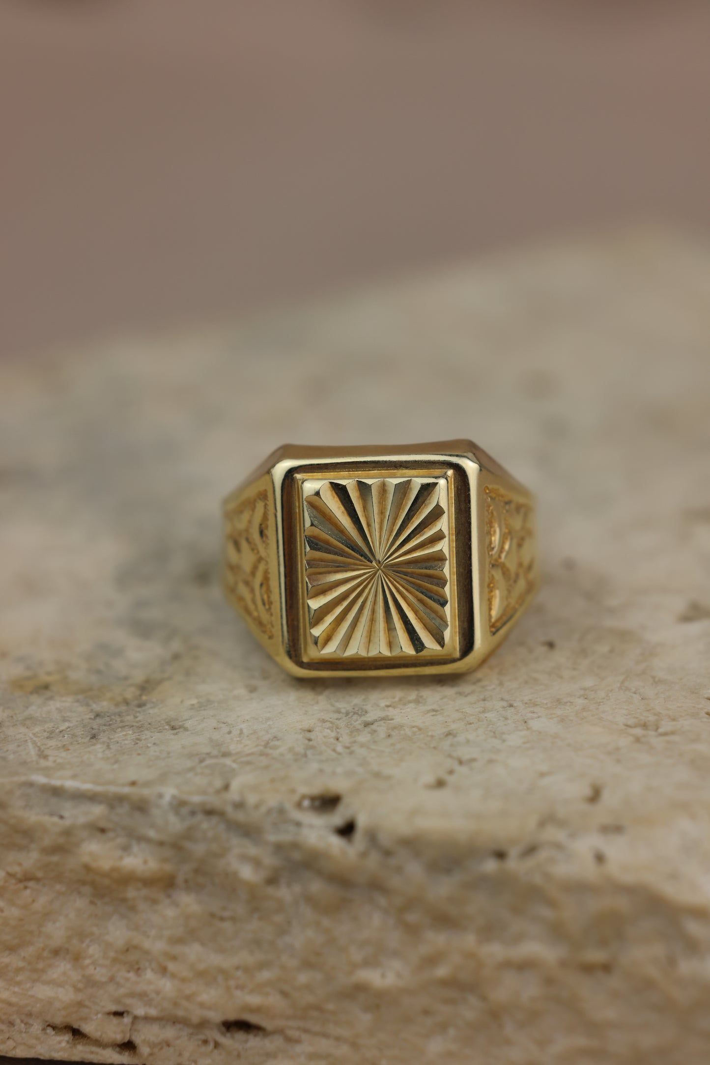 Anillo de caballero 10k #418