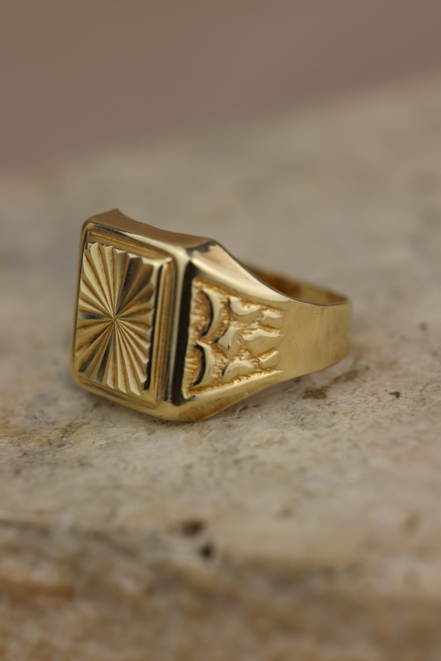 Anillo de caballero 10k #418