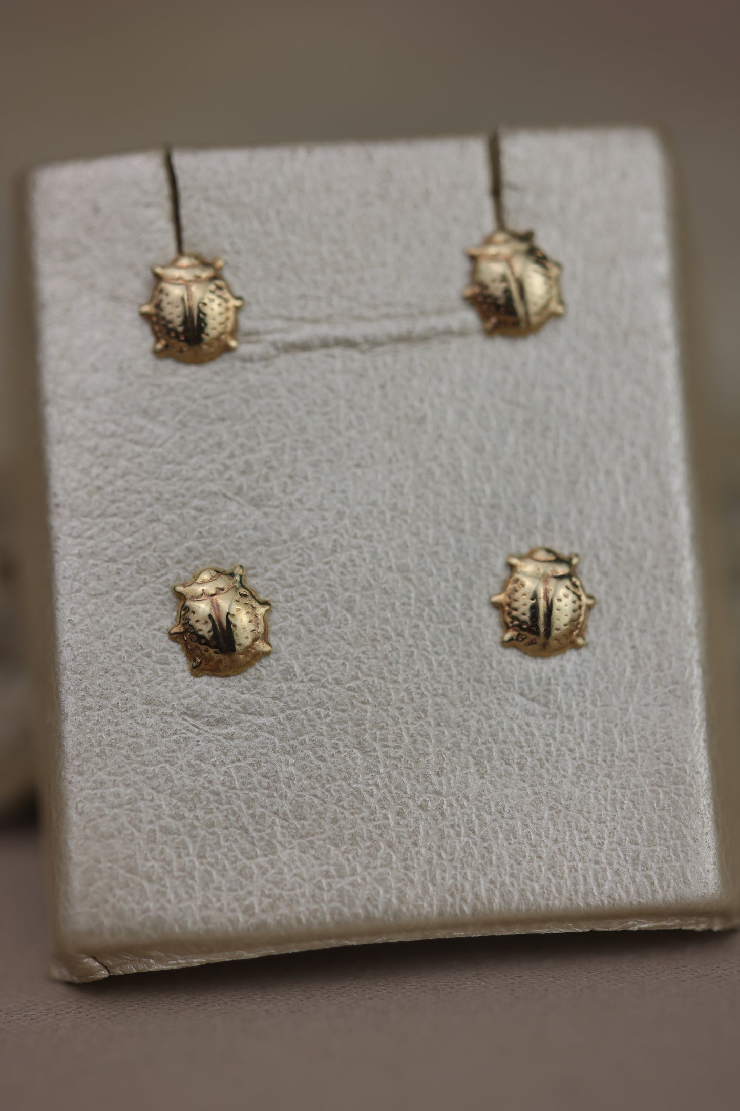 Aretes de bebe de mariquita #443