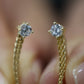 Aretes sin cierre #C5