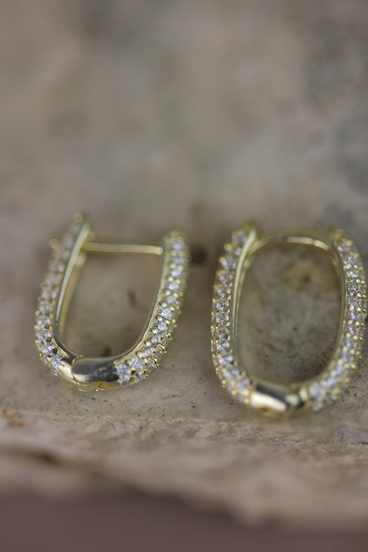 Aretes con circones #177