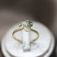 Kitten ring #A66